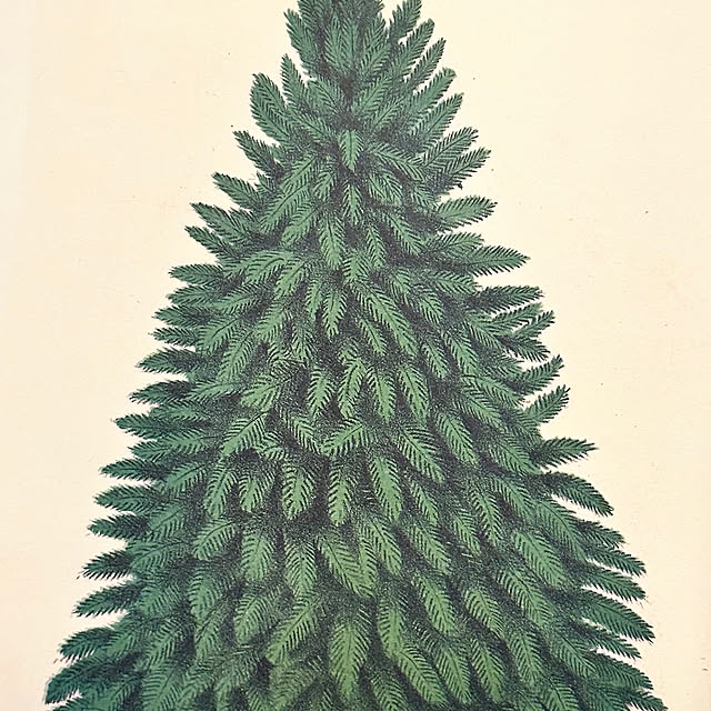 okyame-chanさんの部屋