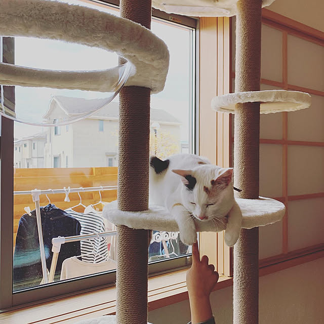 tarvi_meriさんの実例写真