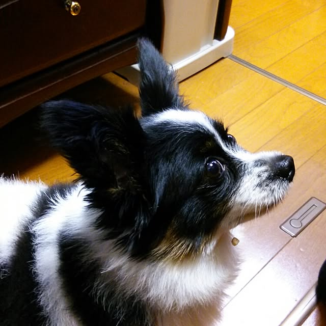Smileberryさんの実例写真