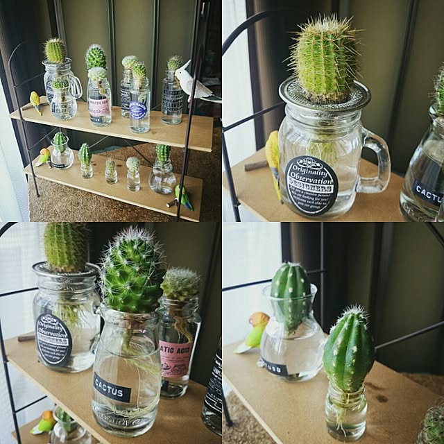 kiraさんの実例写真