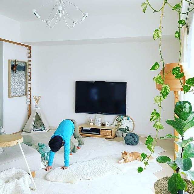 haruhinaさんの実例写真
