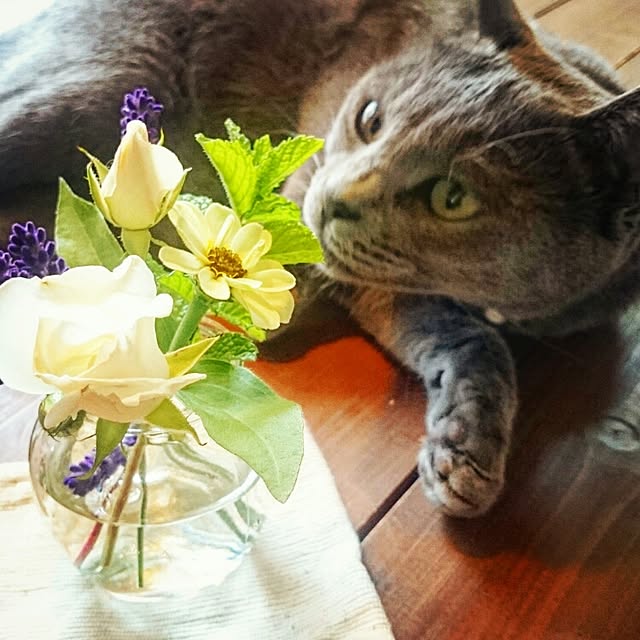 meguminさんの実例写真