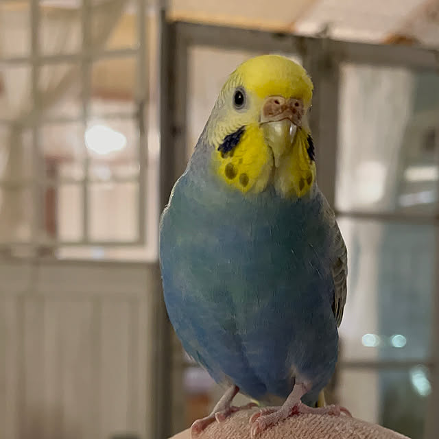 Atsukoさんの部屋