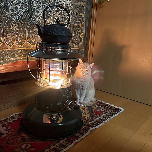 mikan161さんの実例写真