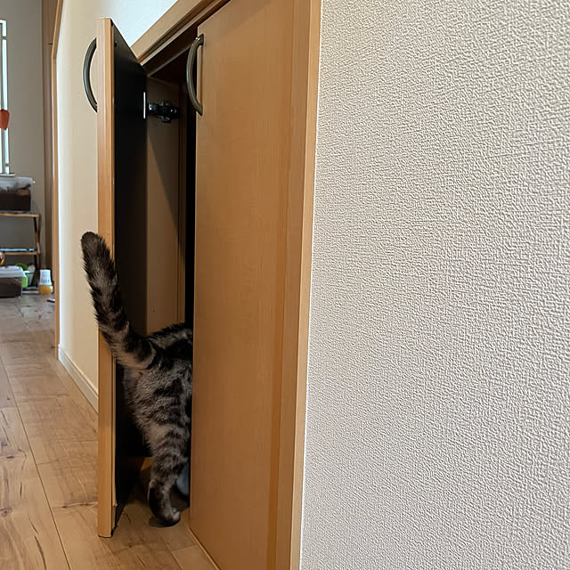 yuccoさんの部屋