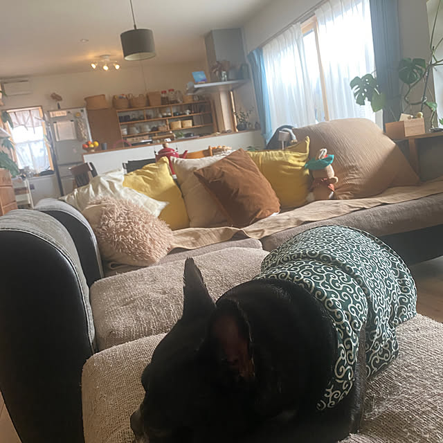 kotaroさんの部屋