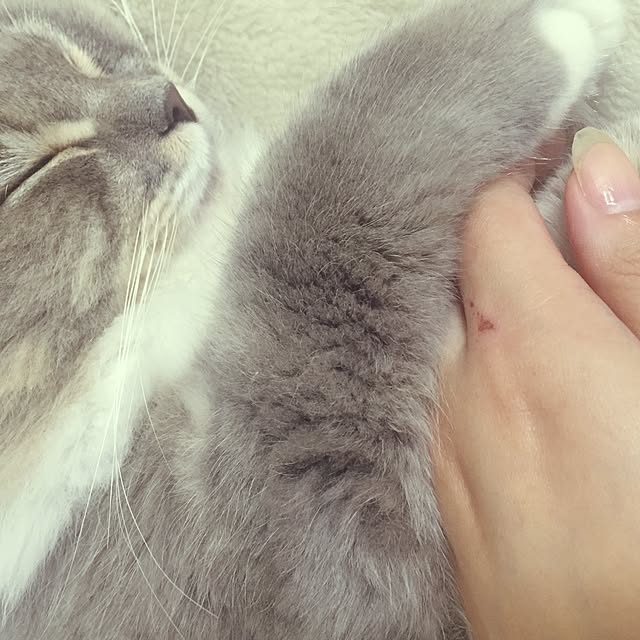 Miki-Ginさんの実例写真