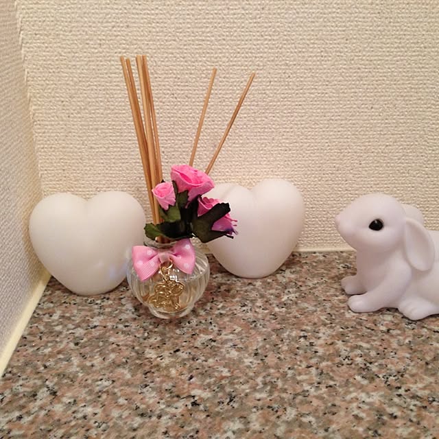 Sakiさんの実例写真