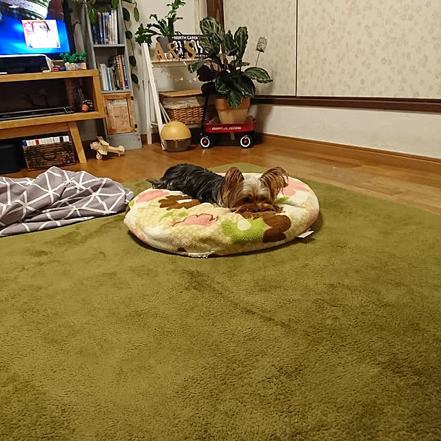 akiさんの実例写真