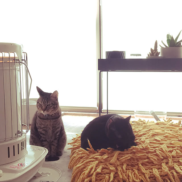 Tomonaさんの実例写真