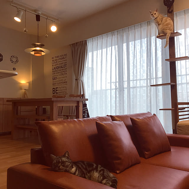 hiyupan88さんの実例写真