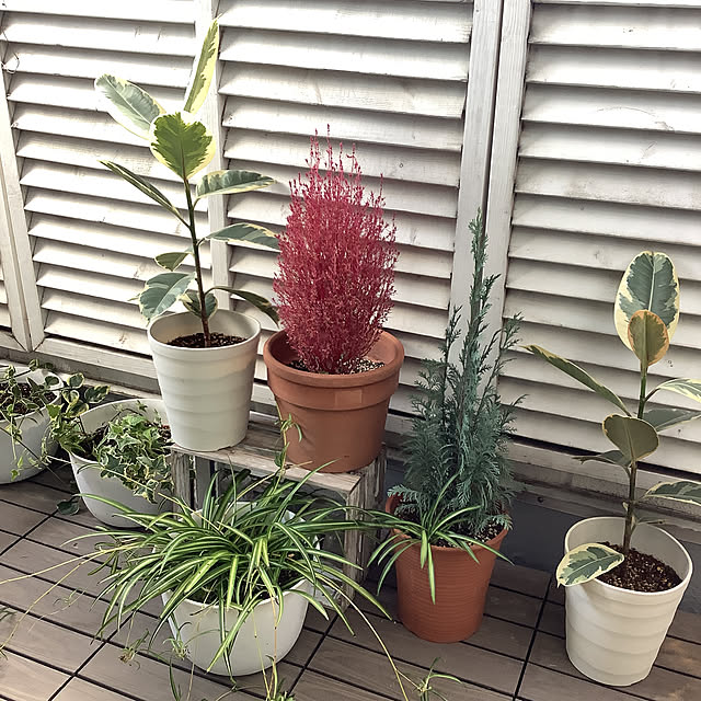 VERANDARJUNさんの実例写真