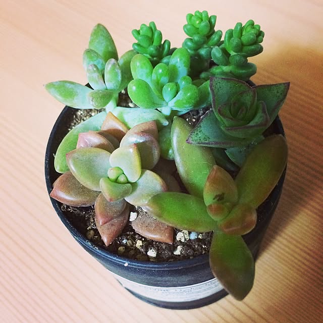 rupunさんの実例写真