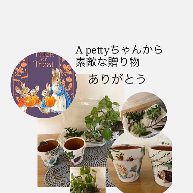 YuuKoさんの実例写真