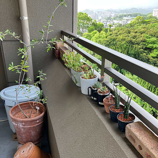 koshiregutyoさんの部屋