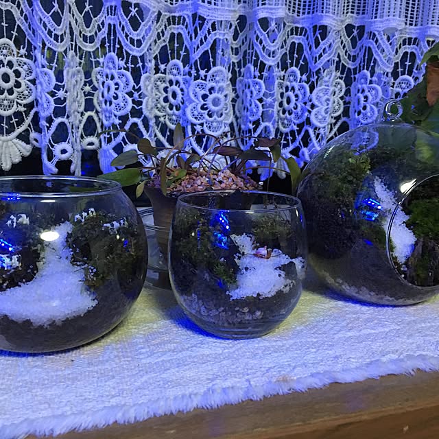 aquarium_seaさんの実例写真