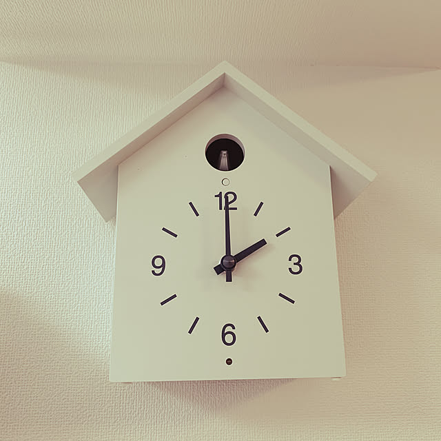 pi-suさんの実例写真