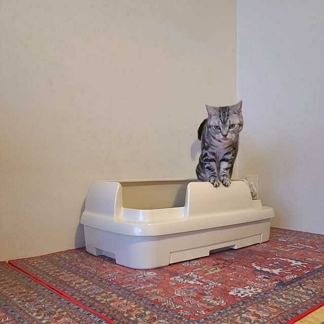 lovepeaceさんの部屋
