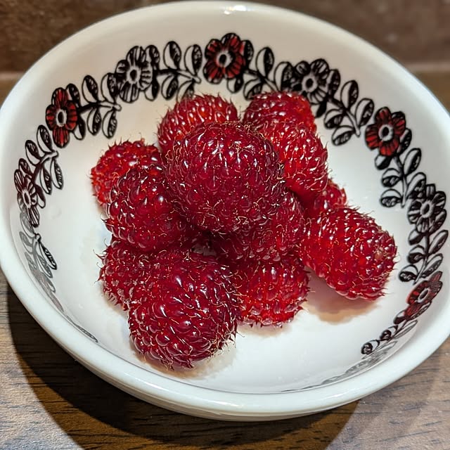 matoさんの部屋