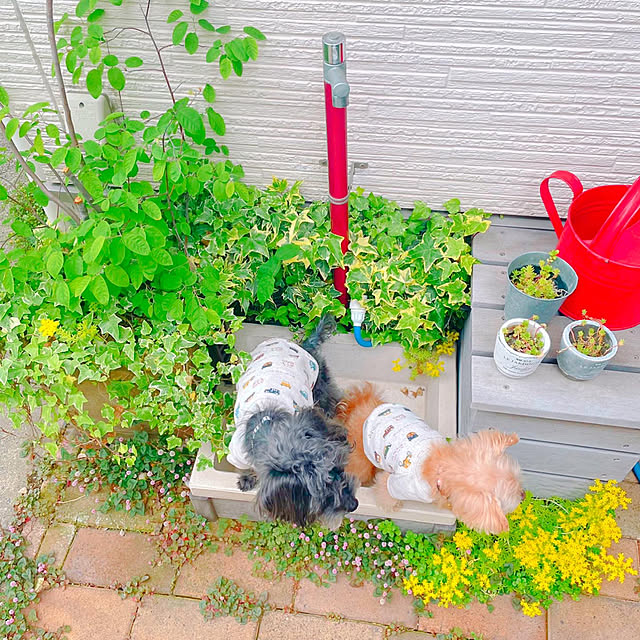 risaさんの実例写真