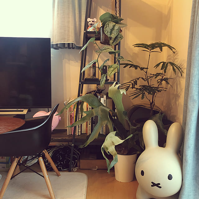 risaさんの実例写真
