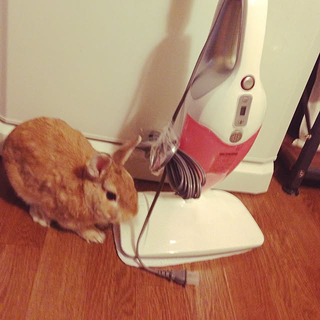 usa_cheeseさんの実例写真