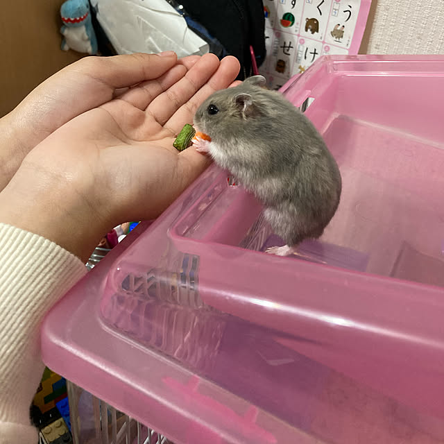 milkさんの実例写真