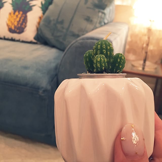 TiffanyTさんの実例写真