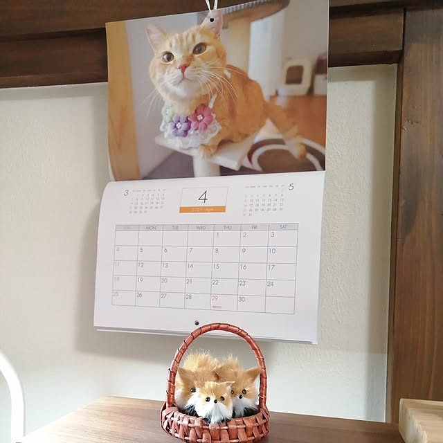 y.ebihara0811さんの実例写真