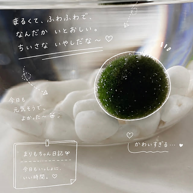 puunyaさんの実例写真
