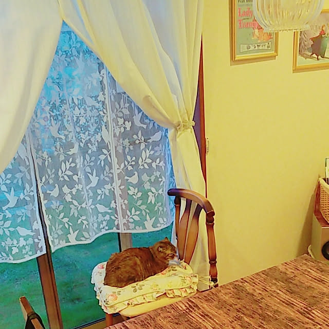 Y.Gさんの実例写真