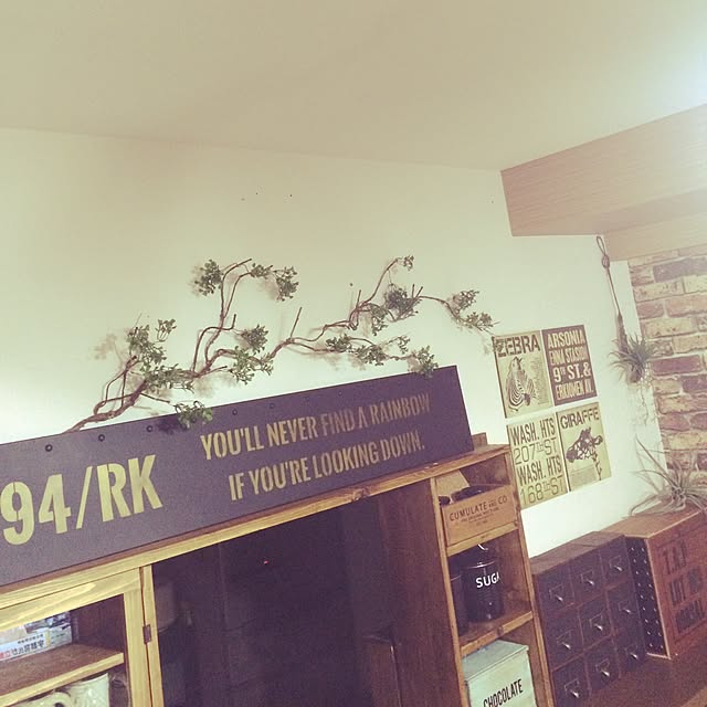 risa10さんの実例写真