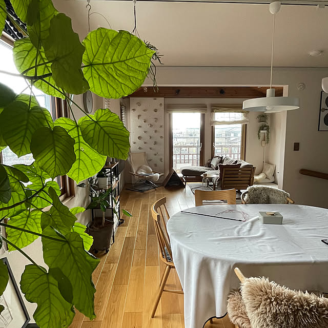 springさんの実例写真