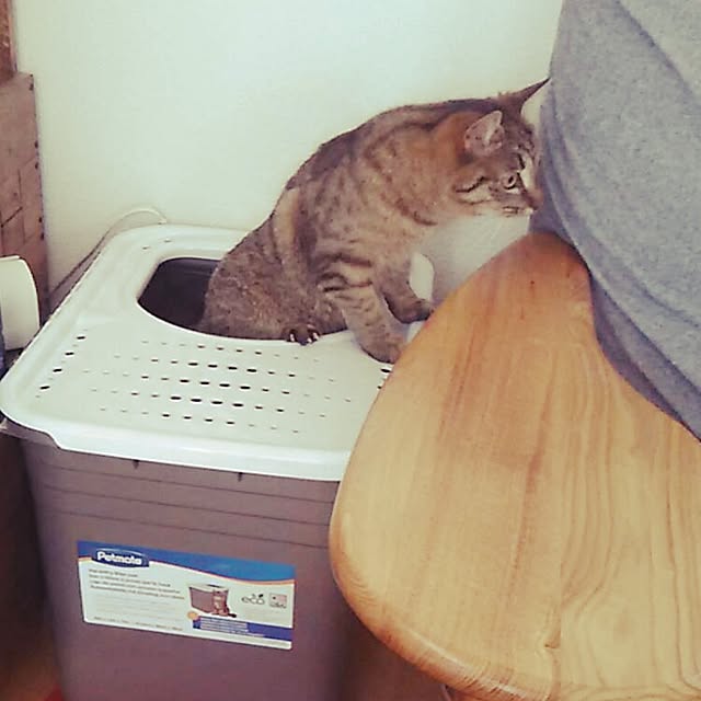 Masamiさんの実例写真