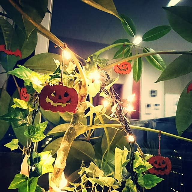 escalaさんの実例写真