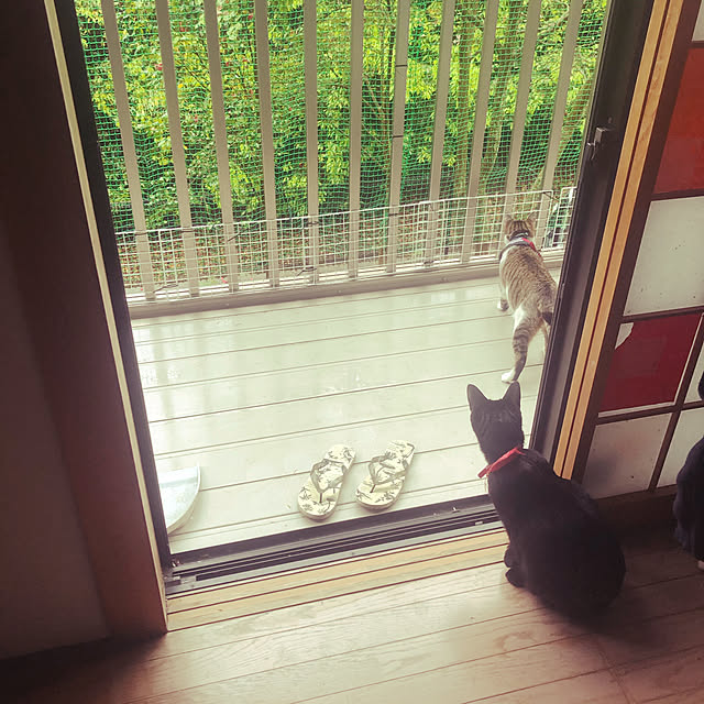 jijiさんの実例写真