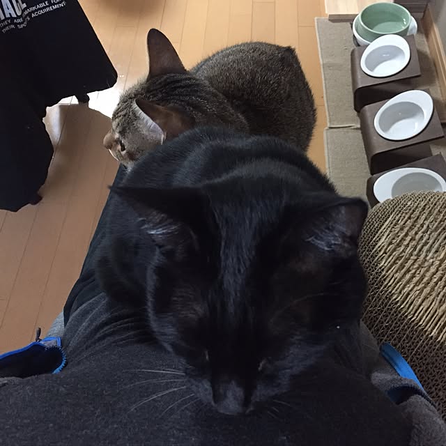 yuki0511さんの実例写真
