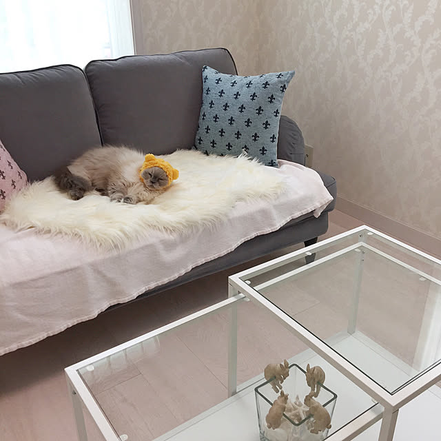 yuchiさんの実例写真