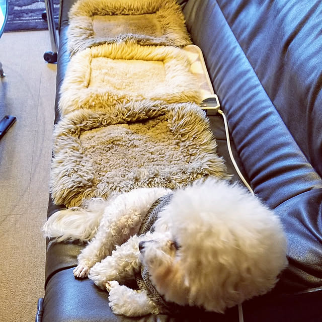 takoさんの実例写真