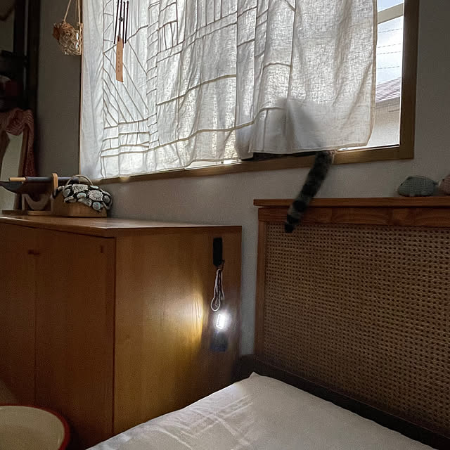 nobikoさんの部屋