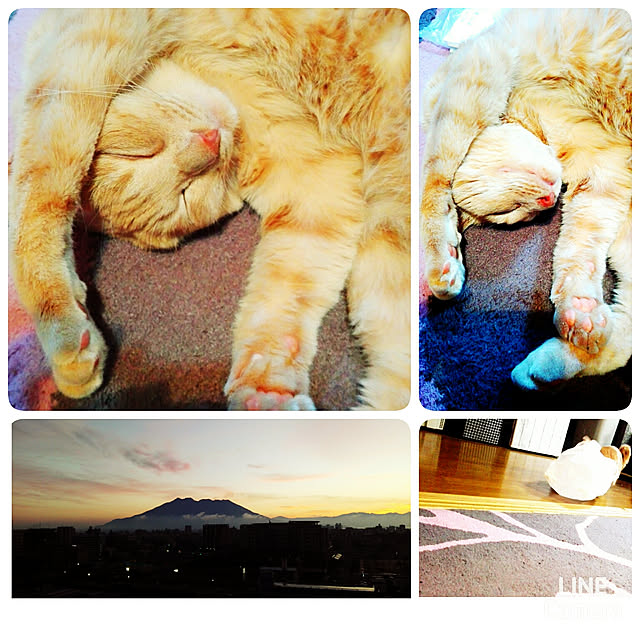 nana.maroさんの実例写真