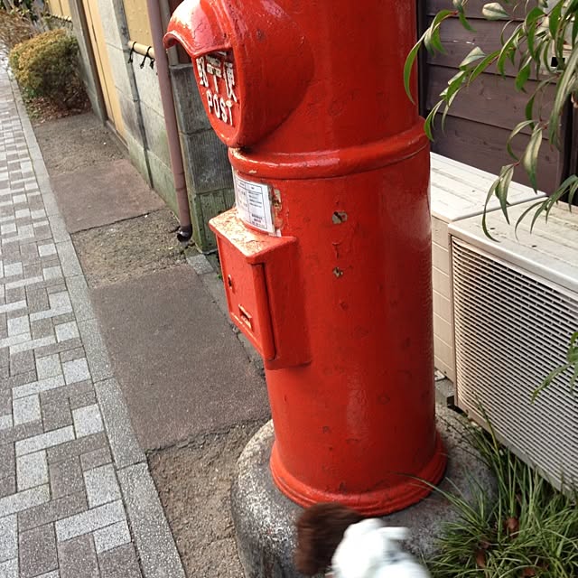 Noooahさんの実例写真