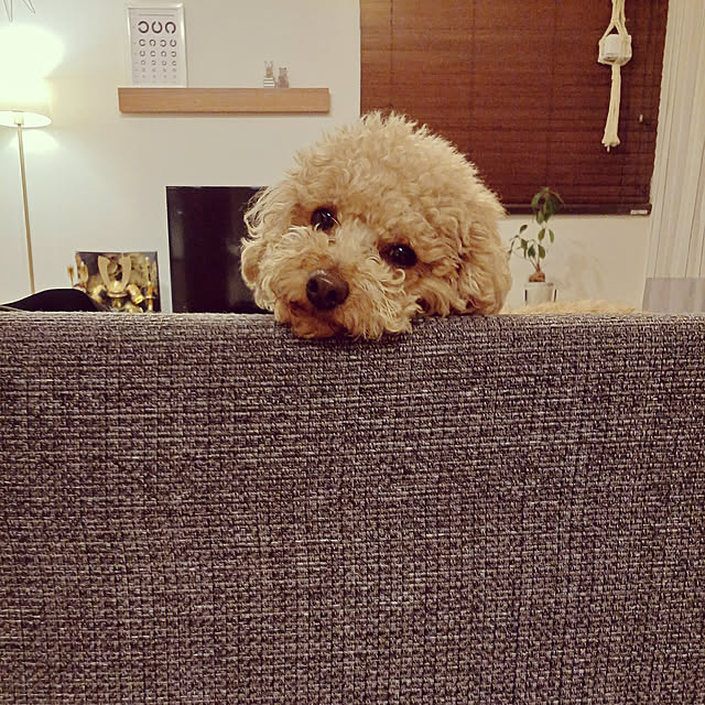 pamiさんの実例写真