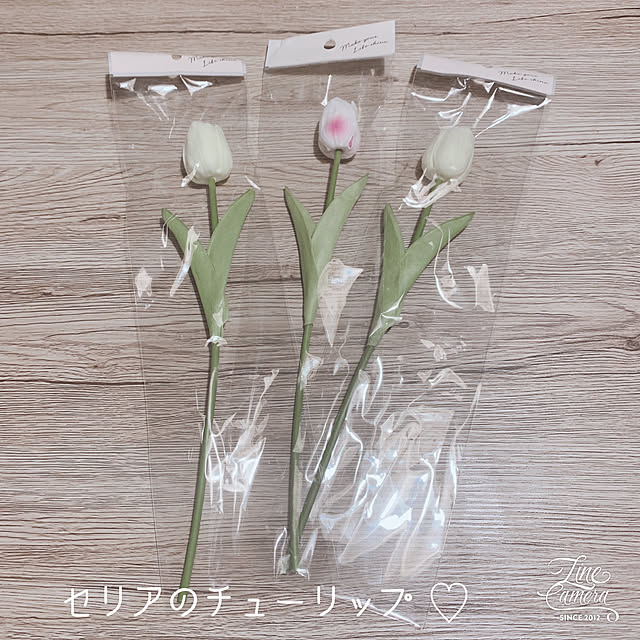 Eriさんの実例写真