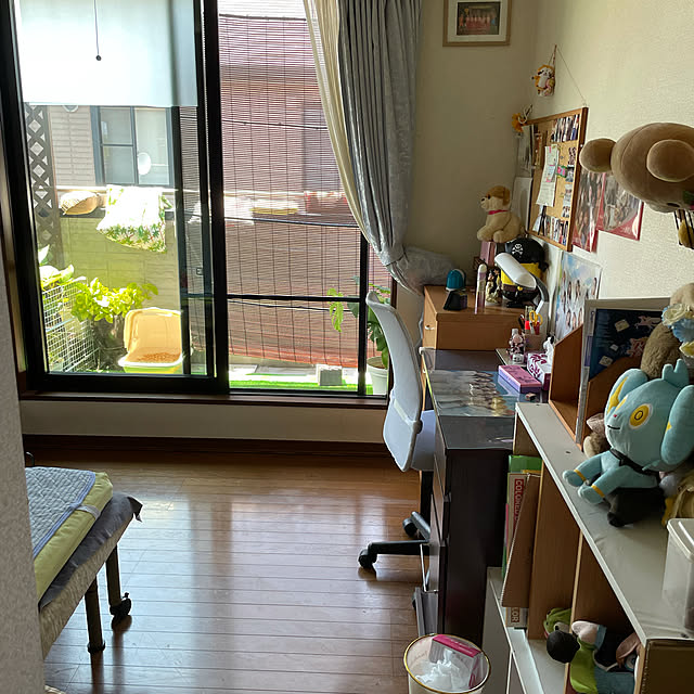 ayuさんの実例写真