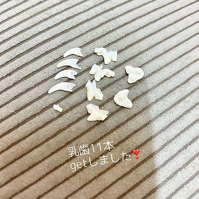 prelumoさんの実例写真