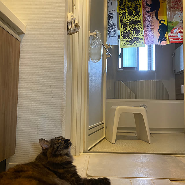 mikomaruさんの実例写真