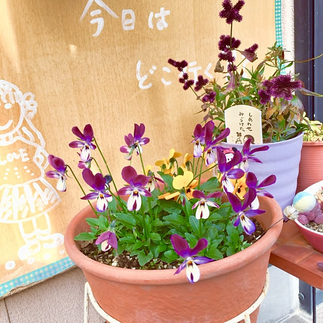 takakoさんの実例写真