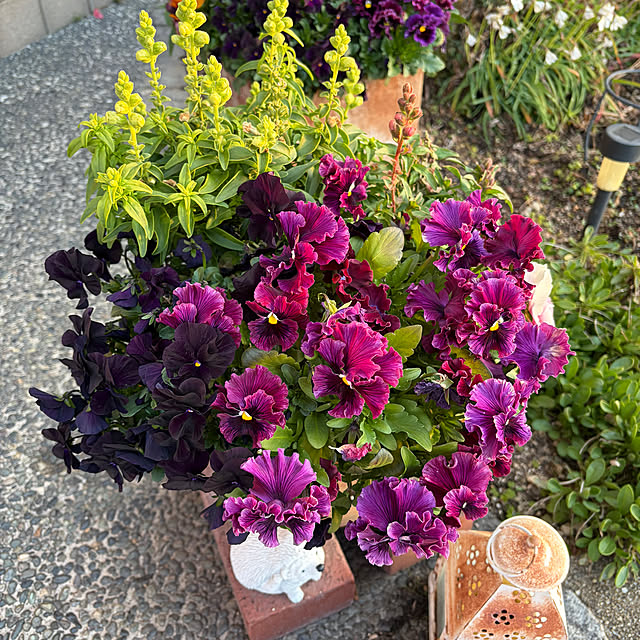 ritsukoさんの実例写真