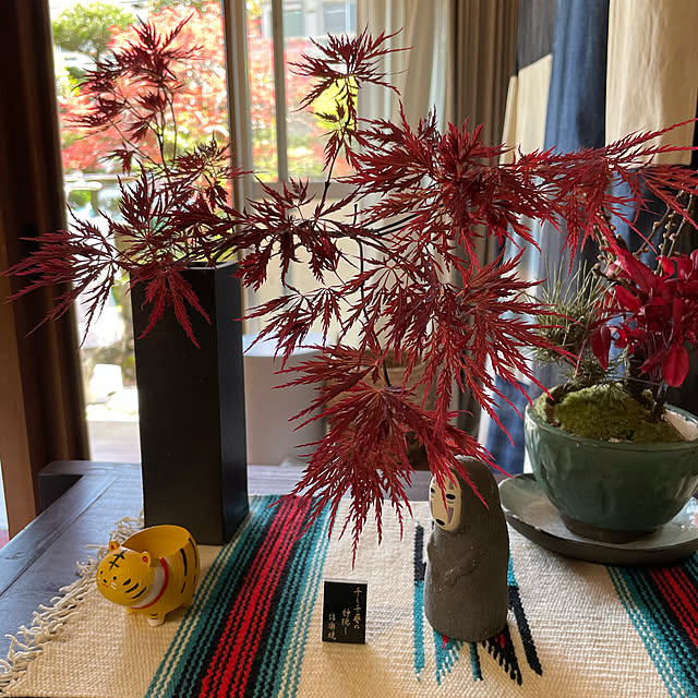 shin0719さんの実例写真